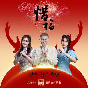Listen to 惜福 (伴奏) song with lyrics from TR 陈柏玮