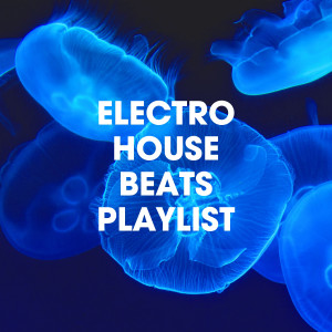 Compilation Electro-House的专辑Electro House Beats Playlist