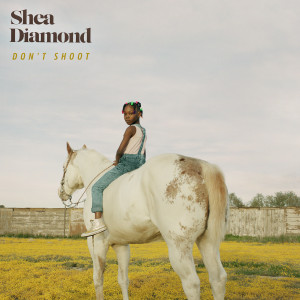 收聽Shea Diamond的Don't Shoot歌詞歌曲