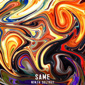 收聽Same的Ninja Seltrut歌詞歌曲
