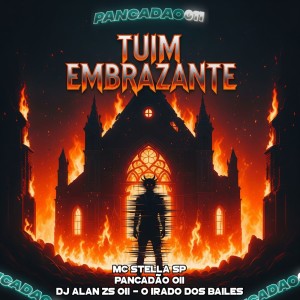 Listen to TUIM EMBRAZANTE (Explicit) song with lyrics from MC STELLA SP