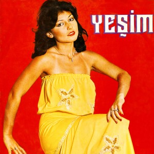 Yeşim的專輯Her Yerde Kar Var