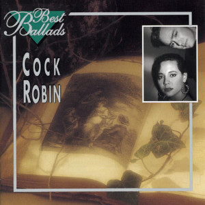 ดาวน์โหลดและฟังเพลง Just Around The Corner (European Edit) พร้อมเนื้อเพลงจาก Cock Robin