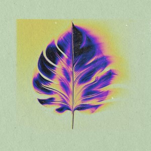 อัลบัม Silverback ศิลปิน ElIZA GRACE