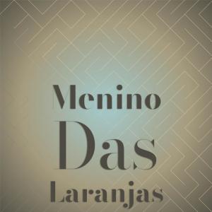 Silvia Natiello-Spiller的专辑Menino Das Laranjas