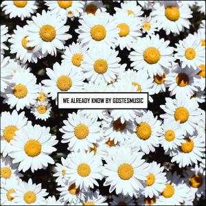 Dengarkan lagu We Already Know nyanyian Gostes dengan lirik