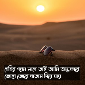Listen to Babyr Gorom Lage Tai Ami Ondhokare Jore Jore Batash Diye Jai song with lyrics from Mubin TusHar
