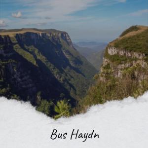 อัลบัม Bus Haydn ศิลปิน Various