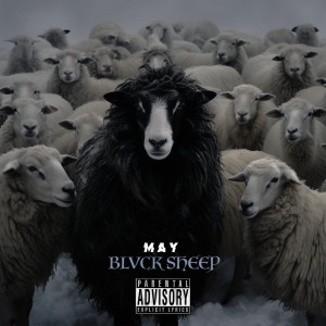 Album Blvck Sheep (Explicit) from M A Y
