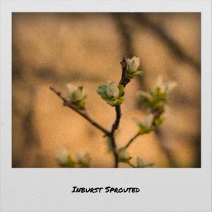 Listen to Brokering song with lyrics from Dany Gunstein
