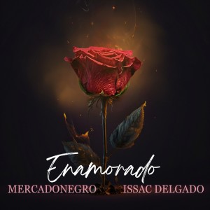 Album Enamorado from Issac Delgado