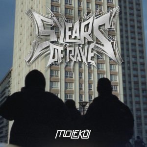 Album 5 Years of Rave from Various