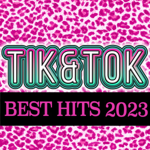 Album TIK & TOK BEST HITS 2023 from MUSIC LAB JPN
