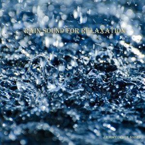 Dengarkan lagu Rain Sound For Relaxation (ASMR, Nature Sound) nyanyian J.Roomy dengan lirik