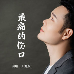 อัลบัม 最痛的伤口 ศิลปิน 君臣