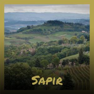 Listen to Sapir song with lyrics from Hercy Butty