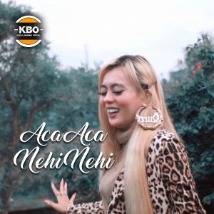Dengarkan Aca Aca Nehi Nehi (Remix) lagu dari Yollanda dengan lirik