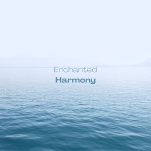 Ambient 11的专辑Enchanted Harmony