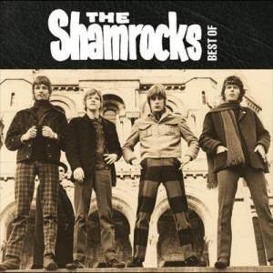 ดาวน์โหลดและฟังเพลง Nobody Cares About Me พร้อมเนื้อเพลงจาก The Shamrocks