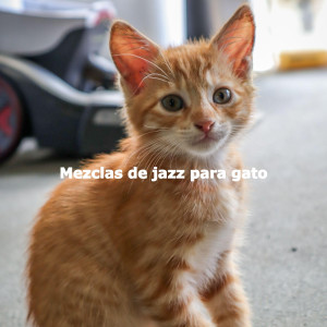 Mezclas de jazz para gato
