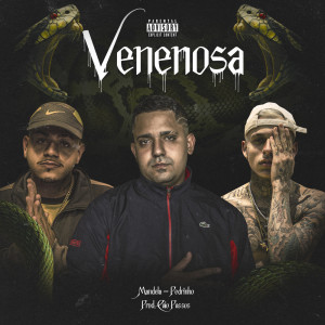 Listen to Venenosa (Explicit) song with lyrics from Mandela