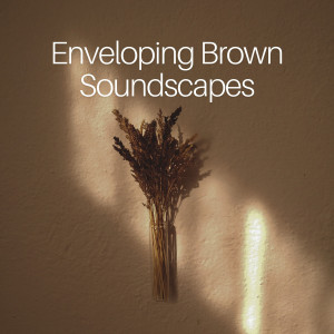 อัลบัม Enveloping Brown Soundscapes ศิลปิน Brown Noise Baby