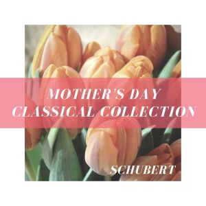 Album Mother's Day Classical Collection: Schubert from The St Petra Russian Symphony Orchestra