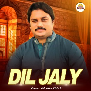 Album Dil Jaly from 