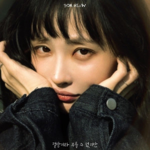 收听솜혜빈的절망이라 부를 수 없지만 (Not quite despair)歌词歌曲