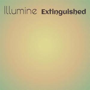 Album Illumine Extinguished from Various