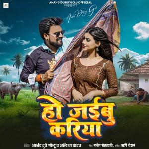 Listen to Ho Jaibu Kariya song with lyrics from Anand Dubey Golu