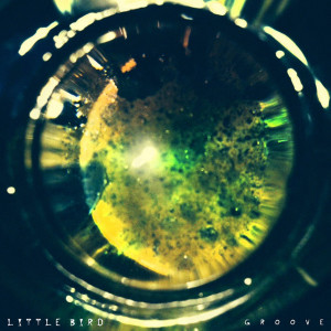 ดาวน์โหลดและฟังเพลง Virgin Gorda (feat. Zachary MC Kinney) พร้อมเนื้อเพลงจาก Little Bird