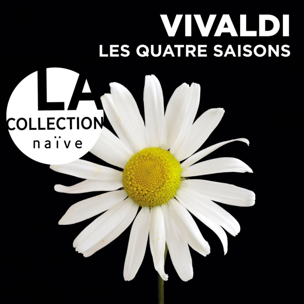 The Four Seasons, Violin Concerto No. 4 in F Minor, RV 297 "Winter": II. Largo