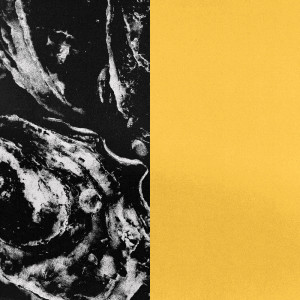 收聽Stanislav Lavskyy的Interstellar歌詞歌曲