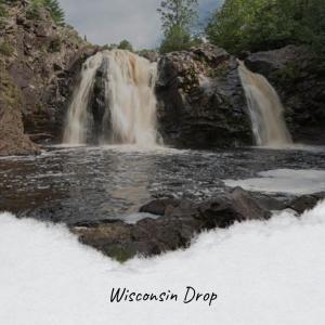 Album Wisconsin Drop oleh Various