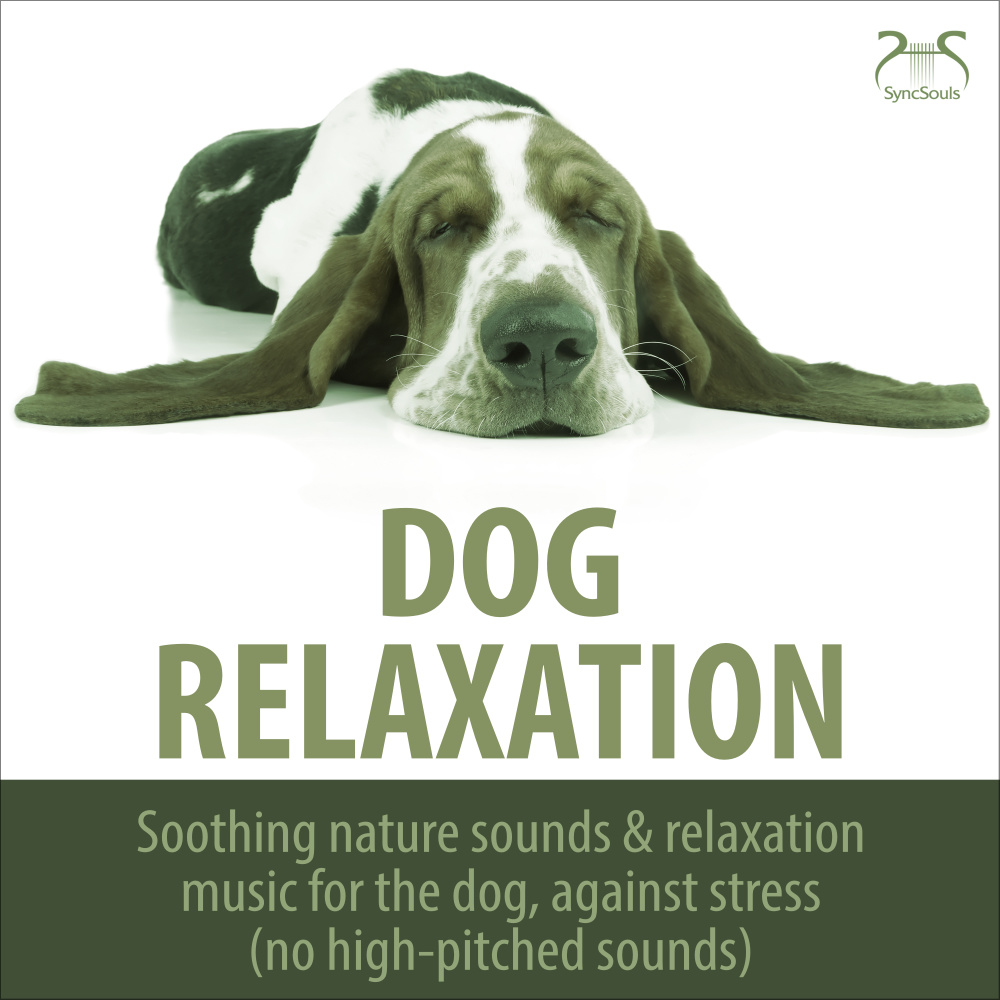 Ocean Sounds and Soft Relaxing Music for Dog and Master/Cat