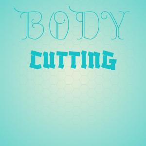 Various Artists的專輯Body Cutting