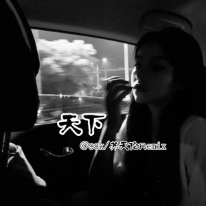 收聽蘇天倫的天下 (蘇天倫Mix)歌詞歌曲