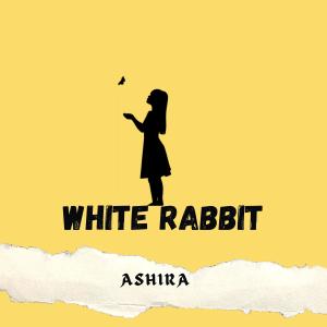 Album White Rabbit from 