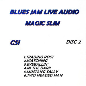 ดาวน์โหลดและฟังเพลง In The Dark พร้อมเนื้อเพลงจาก Magic Slim