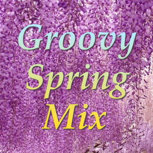 Listen to The Groove (其他) song with lyrics from Ike & Tina Turner