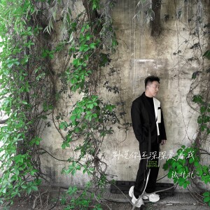 Album 别说你还深深爱着我 from 张北北