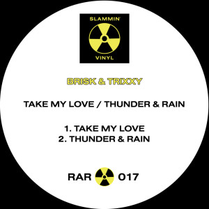 Album Take My Love / Thunder & Rain from Dj Brisk