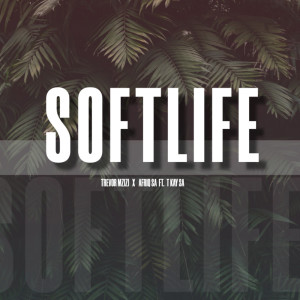 ดาวน์โหลดและฟังเพลง Softlife พร้อมเนื้อเพลงจาก Trevor Mzizi