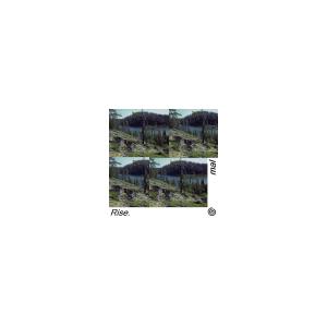 收听Mal的Rise.歌词歌曲