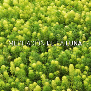 ดาวน์โหลดและฟังเพลง Milkyway พร้อมเนื้อเพลงจาก Luna Tunes