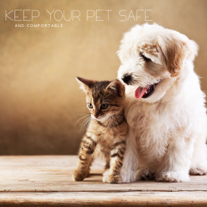 Album Keep Your Pet Safe and Comfortable (Calm Music for Stress Management) oleh Calm Pets Music Academy