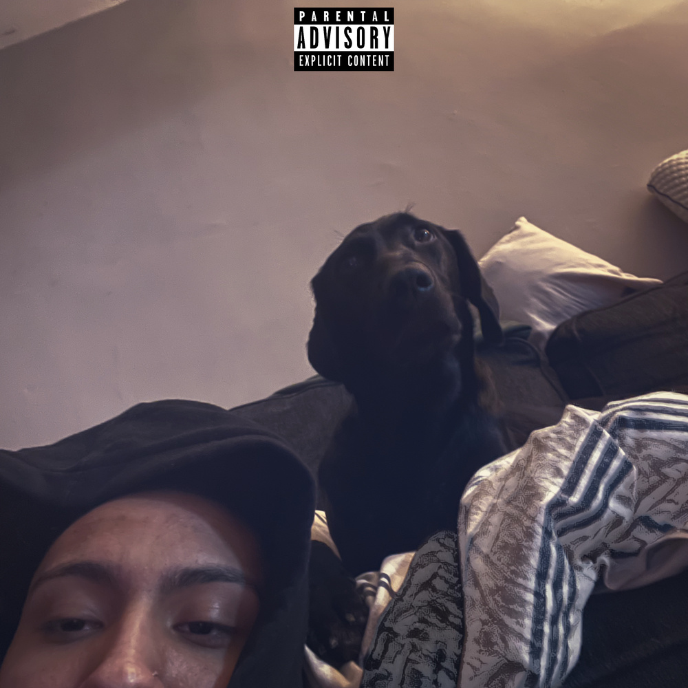 Lost The Love (Explicit)