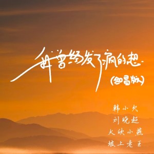 Album 我曾经发了疯的想（合唱版） from 韩小欠
