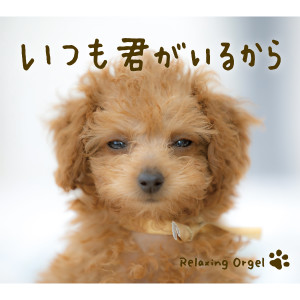 default album img